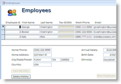 FormSafe for Access