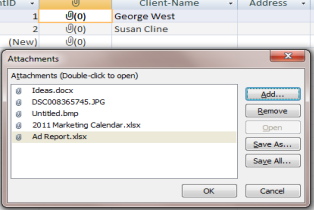 Access 2007 Attachment Fields