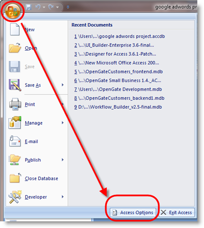 Microsoft Office Access menu