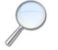 UI Builder - Universal Search